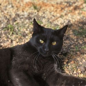 Meet your Posher, Rhealee